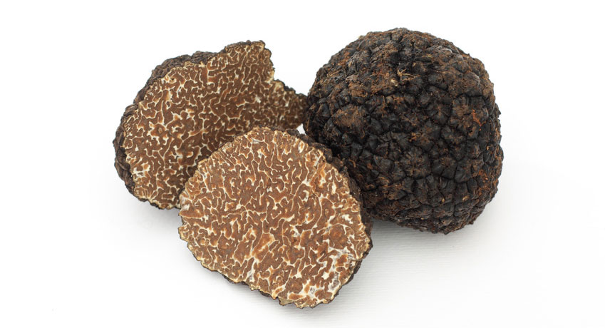 fall black truffle