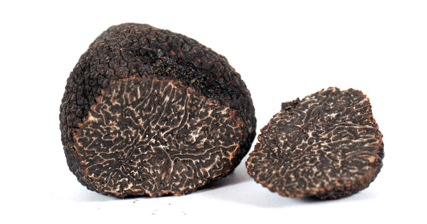 winter black truffle cropped