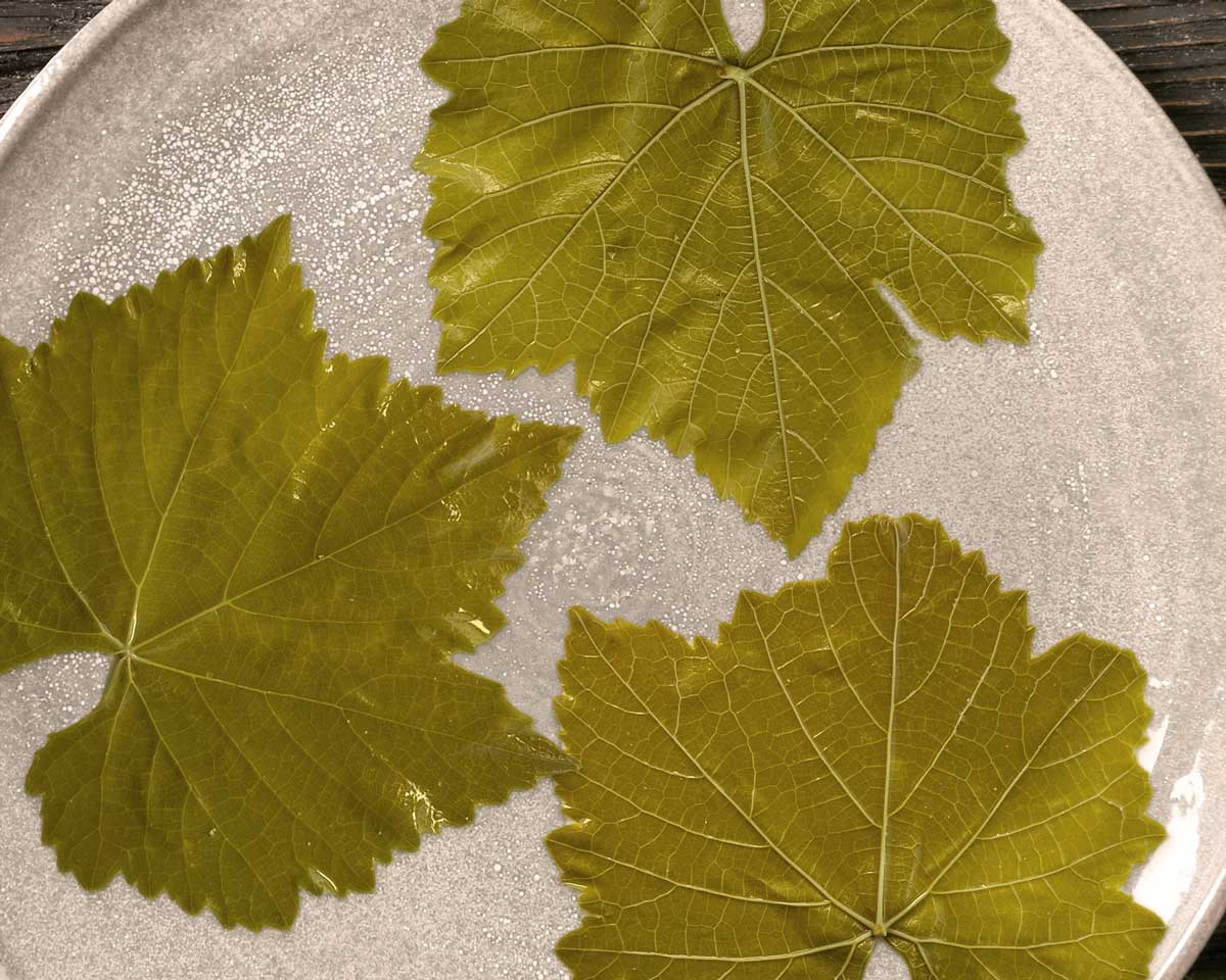 A plate of brined grape leaves