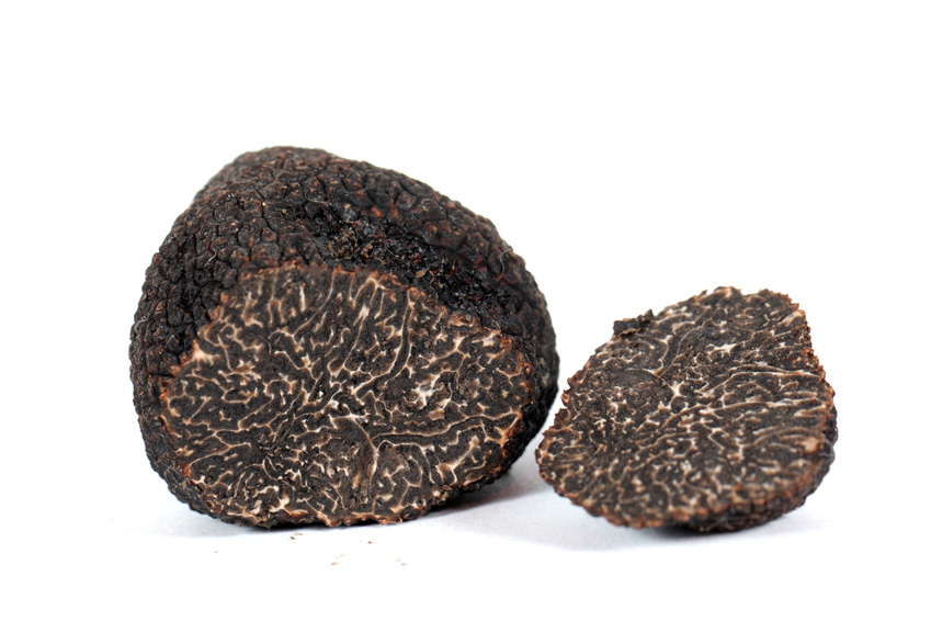 truffle winter black
