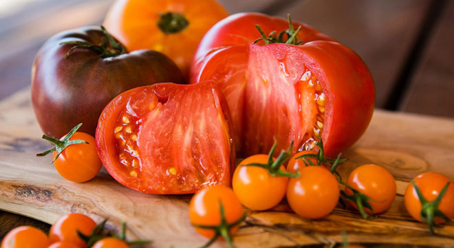 produce tomatoes header image
